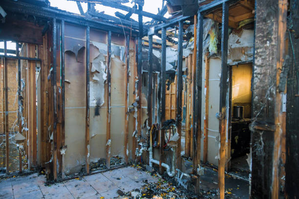Professional Odor Removal technician working in Hainesville, IL